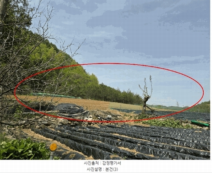 2025타경100276 경상북도 봉화군 명호면 도천리 381-16 과수원 경매 이미지