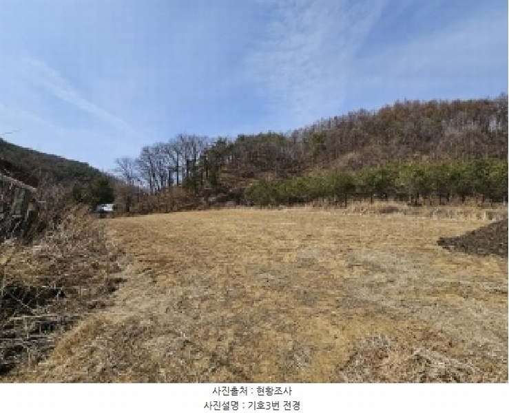 2025타경100276 경상북도 봉화군 명호면 도천리 381-16 과수원 경매 이미지
