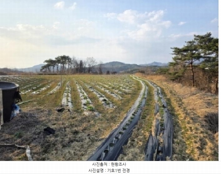 2025타경100300 경상북도 안동시 풍산읍 괴정리 423 농지 경매 이미지