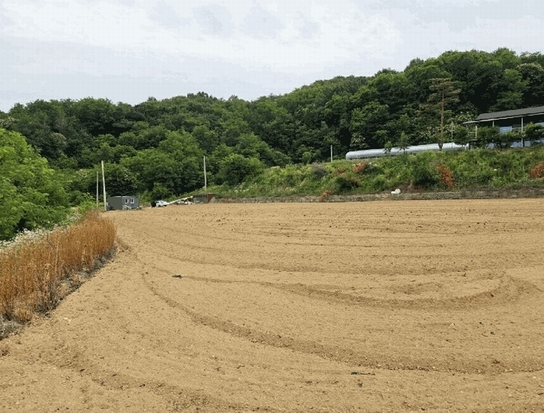 2025타경100300 경상북도 안동시 풍산읍 괴정리 423 농지 경매 이미지