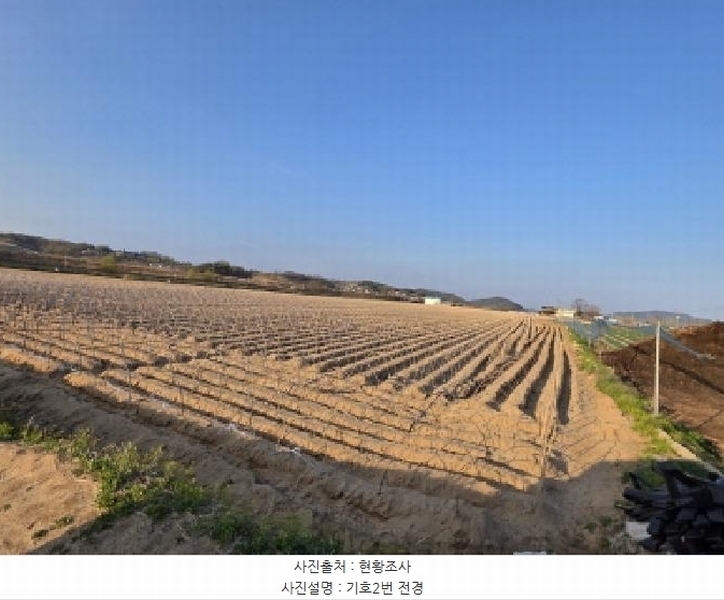 2025타경100305 경상북도 안동시 풍천면 기산리 1123 농지 경매 이미지