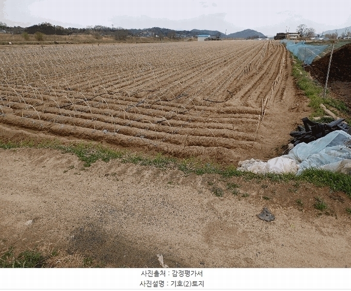 2025타경100305 경상북도 안동시 풍천면 기산리 1123 농지 경매 이미지