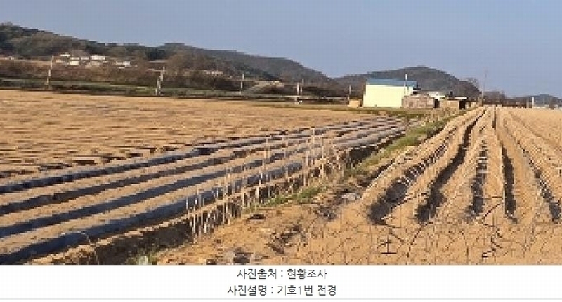 2025타경100305 경상북도 안동시 풍천면 기산리 1123 농지 경매 이미지