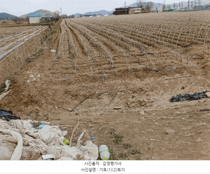 2025타경100305 경상북도 안동시 풍천면 기산리 1123 농지 경매 이미지