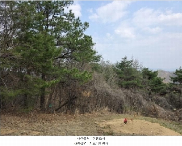 2025타경100307 경상북도 안동시 임하면 노산리 산305 임야 경매 이미지