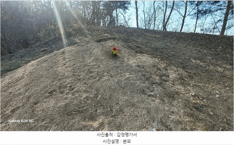 2025타경100307 경상북도 안동시 임하면 노산리 산305 임야 경매 이미지