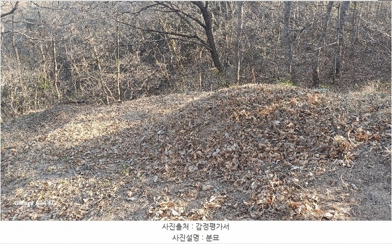 2025타경100307 경상북도 안동시 임하면 노산리 산305 임야 경매 이미지