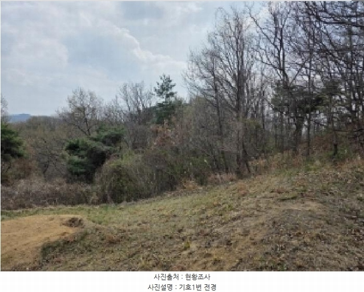 2025타경100307 경상북도 안동시 임하면 노산리 산305 임야 경매 이미지