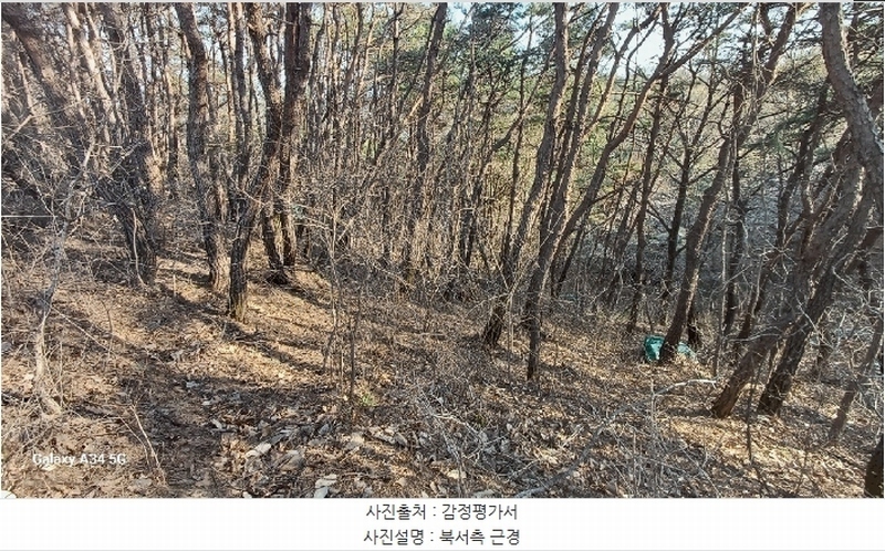 2025타경100307 경상북도 안동시 임하면 노산리 산305 임야 경매 이미지