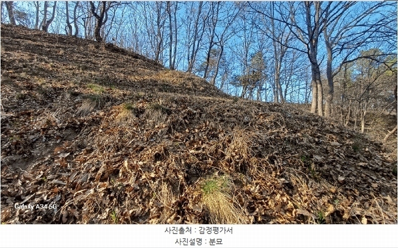 2025타경100307 경상북도 안동시 임하면 노산리 산305 임야 경매 이미지
