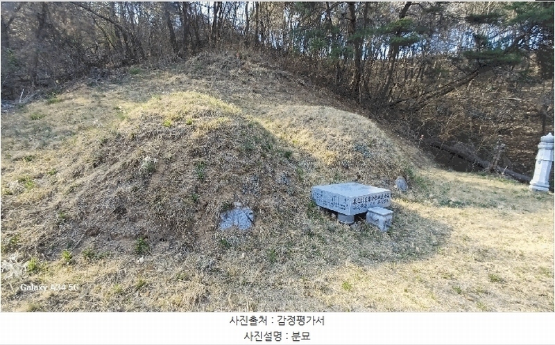 2025타경100307 경상북도 안동시 임하면 노산리 산305 임야 경매 이미지
