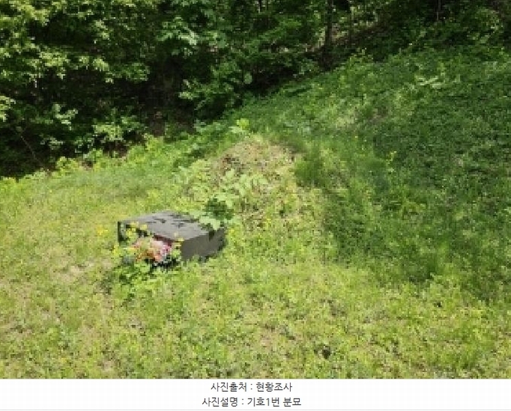 2025타경100325 경상북도 봉화군 봉화읍 내성리 산56 임야 경매 이미지