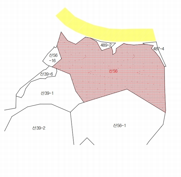 2025타경100325 경상북도 봉화군 봉화읍 내성리 산56 임야 경매 이미지