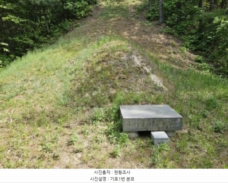 2025타경100325 경상북도 봉화군 봉화읍 내성리 산56 임야 경매 이미지