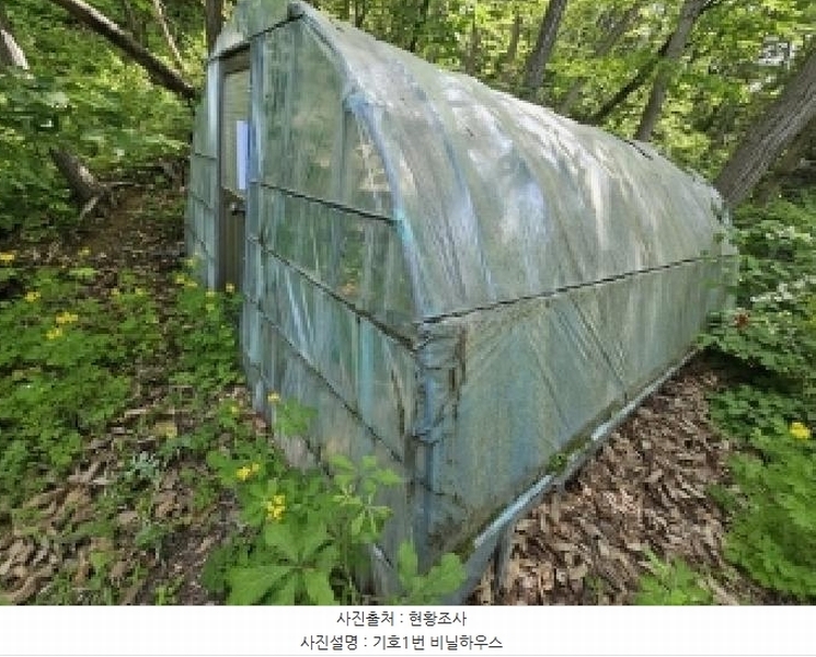 2025타경100325 경상북도 봉화군 봉화읍 내성리 산56 임야 경매 이미지