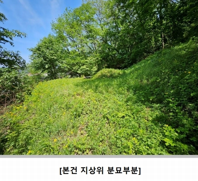 2025타경100325 경상북도 봉화군 봉화읍 내성리 산56 임야 경매 이미지