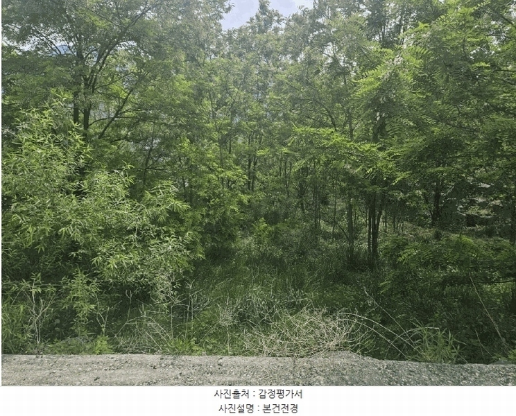 2025타경100355 경상북도 영주시 풍기읍 수철리 126-4 과수원 경매 이미지
