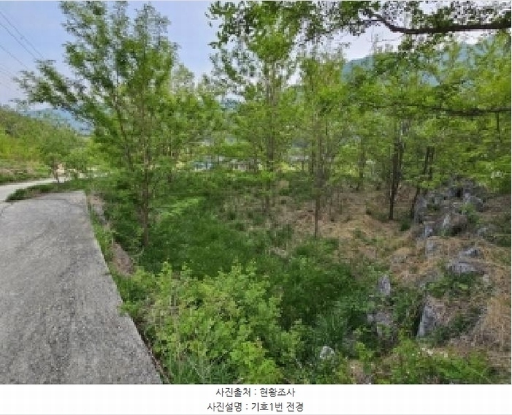 2025타경100355 경상북도 영주시 풍기읍 수철리 126-4 과수원 경매 이미지