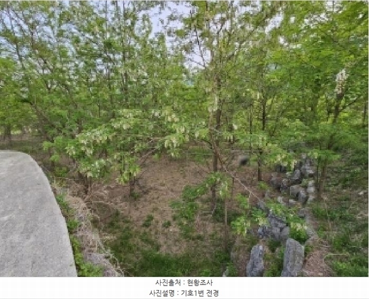 2025타경100355 경상북도 영주시 풍기읍 수철리 126-4 과수원 경매 이미지