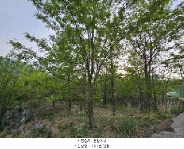 2025타경100355 경상북도 영주시 풍기읍 수철리 126-4 과수원 경매 이미지