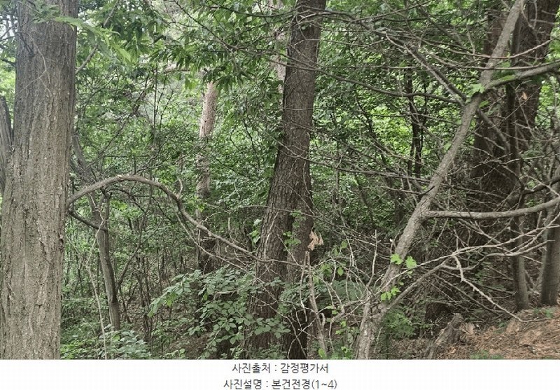 2025타경100367 경상북도 영주시 순흥면 덕현리 254 임야 경매 이미지