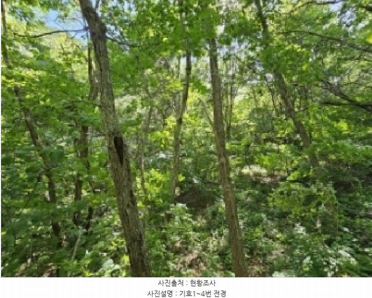 2025타경100367 경상북도 영주시 순흥면 덕현리 254 임야 경매 이미지