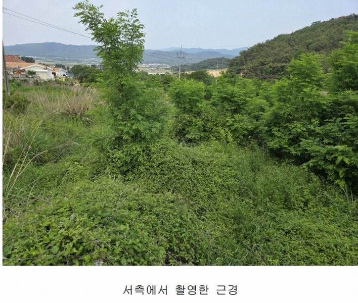 2024타경13490 경상북도 경주시 평동 79 농지 경매 이미지