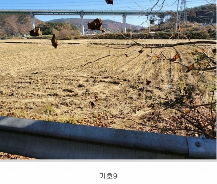 2024타경13858 경상북도 경주시 문무대왕면 안동리 49-2 농지 경매 이미지