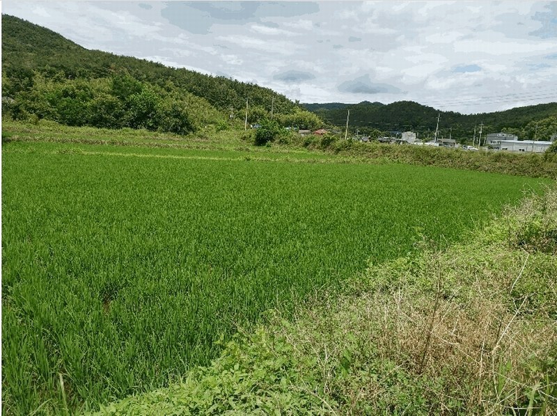 2025타경10605 경상북도 경주시 내남면 덕천리 1052 농지 경매 이미지
