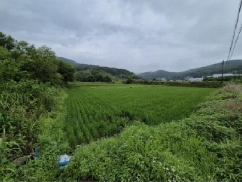 2025타경10605 경상북도 경주시 내남면 덕천리 1052 농지 경매 이미지