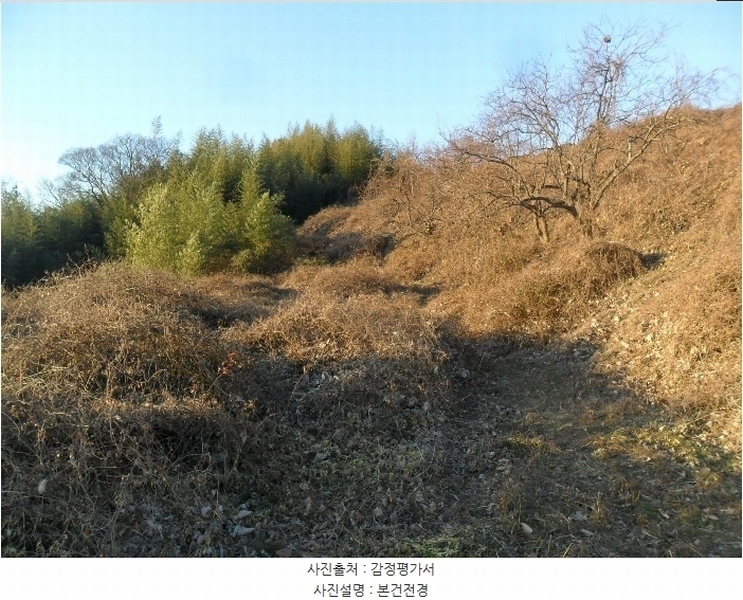 2024타경3936 경상북도 경주시 문무대왕면 어일리 1119-3 농지 경매 이미지