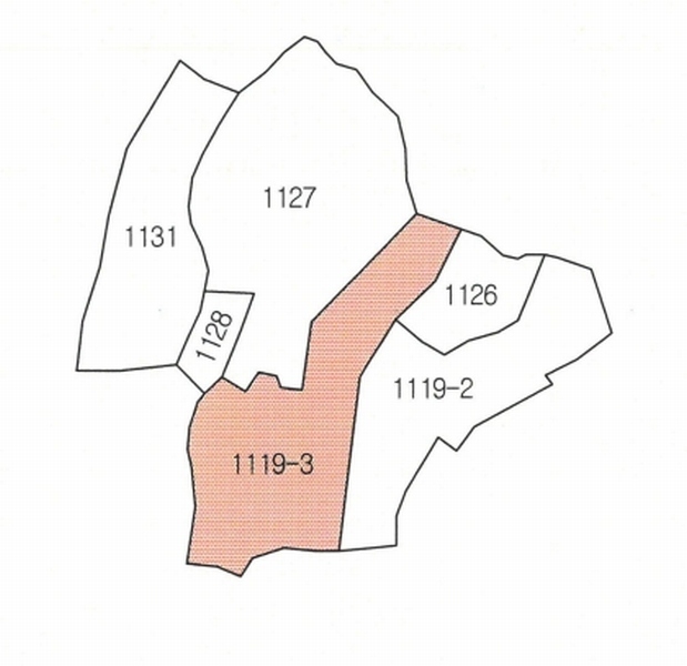 2024타경3936 경상북도 경주시 문무대왕면 어일리 1119-3 농지 경매 이미지