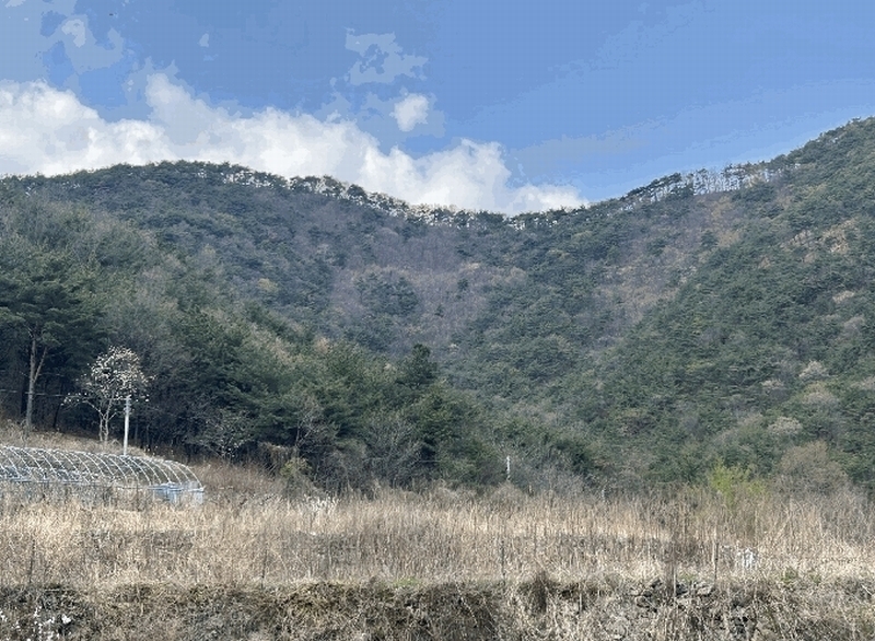 2025타경405 경상남도 김해시 상동면 우계리 산61 임야 경매 이미지