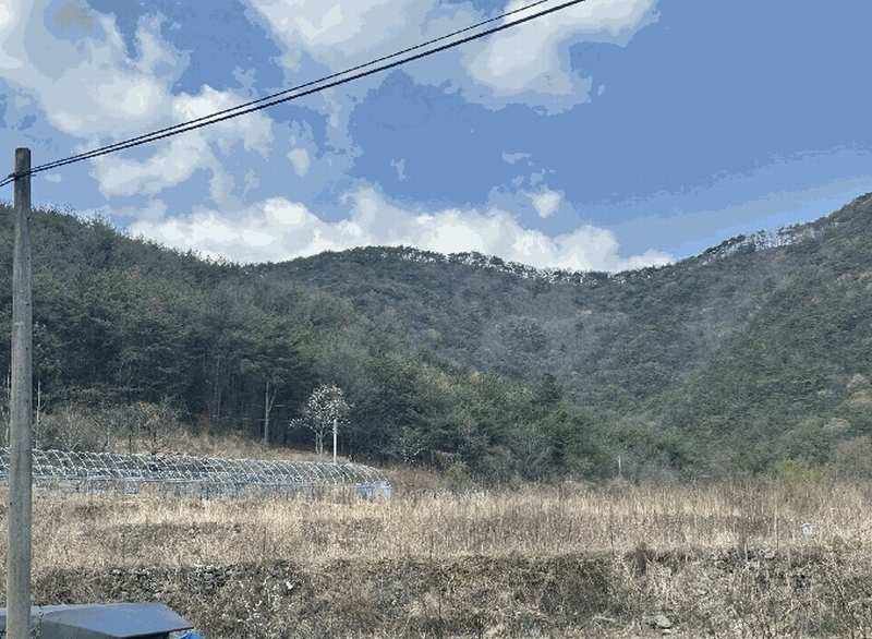 2025타경405 경상남도 김해시 상동면 우계리 산61 임야 경매 이미지