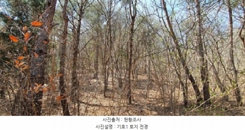 2025타경405 경상남도 김해시 상동면 우계리 산61 임야 경매 이미지
