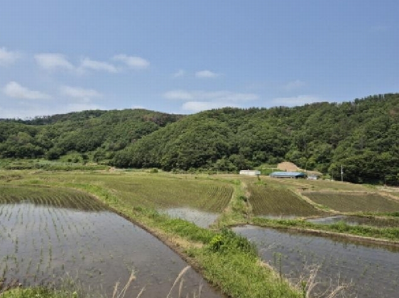 2025타경413 경상북도 경주시 양남면 석촌리 510 농지 경매 이미지