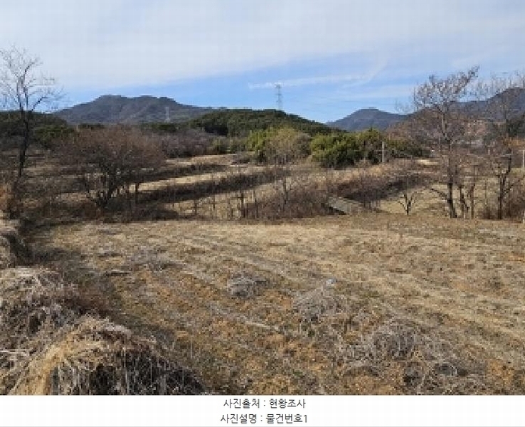 2025타경425 경상남도 산청군 신등면 모례리 497-2 농지 경매 이미지