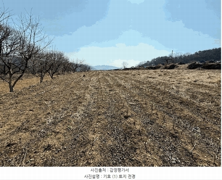 2025타경425 경상남도 산청군 신등면 모례리 497-2 농지 경매 이미지
