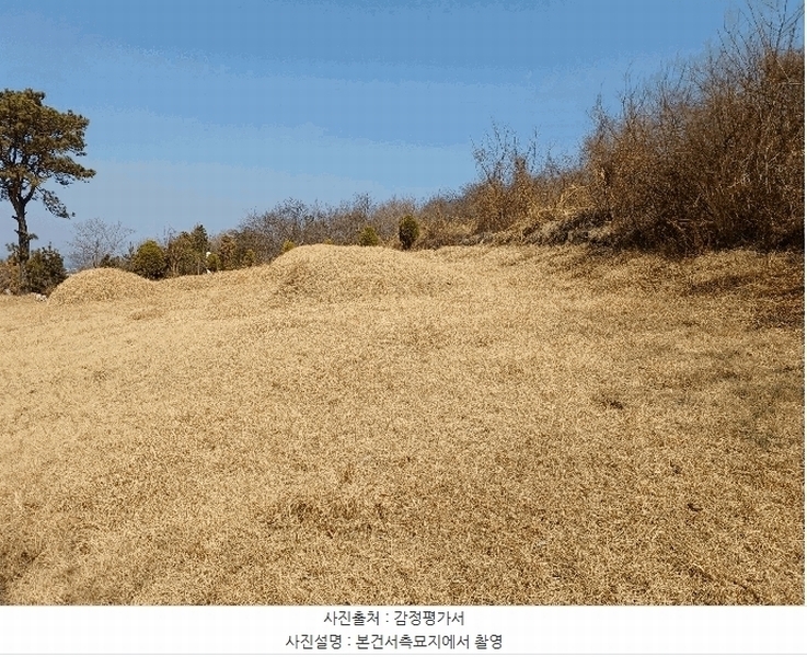2025타경10398 경상북도 경주시 외동읍 입실리 114-36 농지 경매 이미지