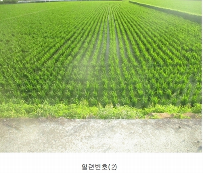 2025타경10498 경상북도 경주시 안강읍 옥산리 337-4 농지 경매 이미지