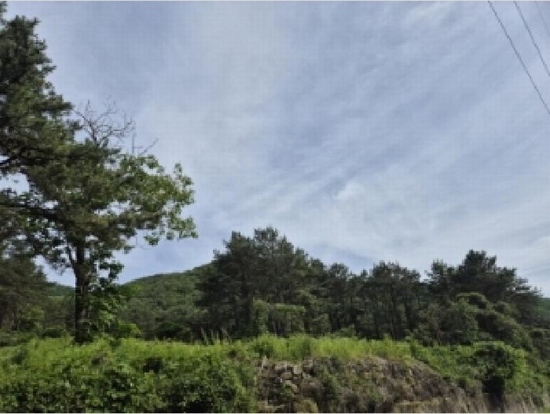 2025타경10522 경상북도 경주시 내남면 박달리 산847-11 근린시설 경매 이미지