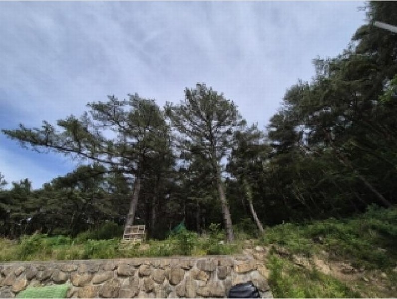 2025타경10522 경상북도 경주시 내남면 박달리 산847-11 근린시설 경매 이미지