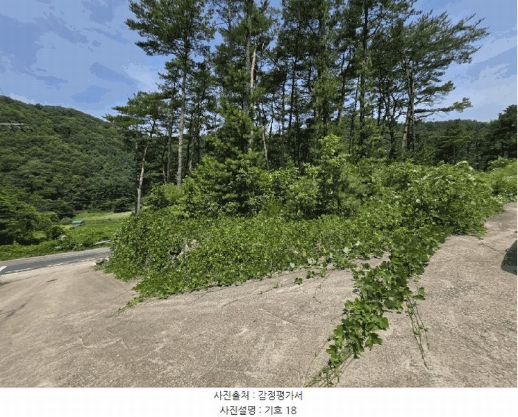 2025타경10522 경상북도 경주시 내남면 박달리 산847-11 근린시설 경매 이미지