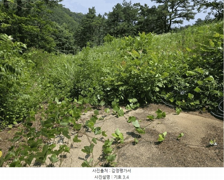 2025타경10522 경상북도 경주시 내남면 박달리 산847-11 근린시설 경매 이미지
