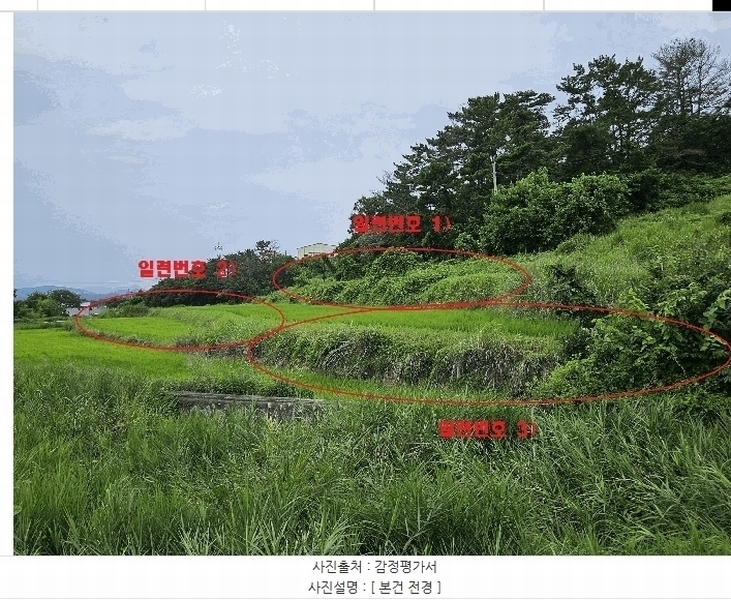 2025타경10602 경상북도 경주시 천북면 성지리 566 농지 경매 이미지