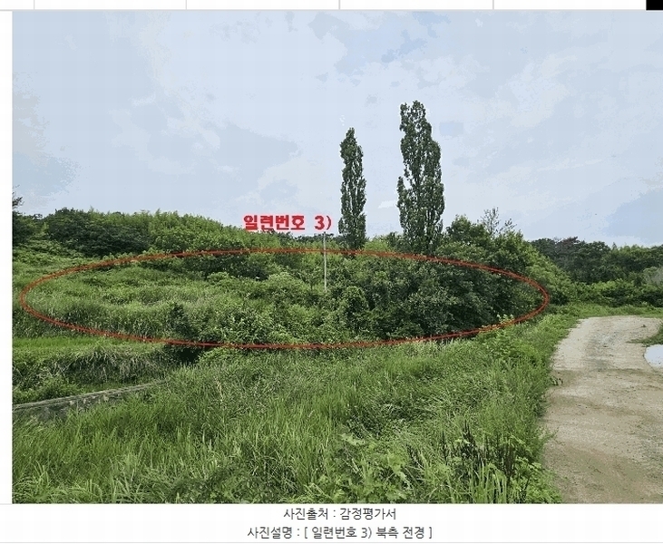 2025타경10602 경상북도 경주시 천북면 성지리 566 농지 경매 이미지