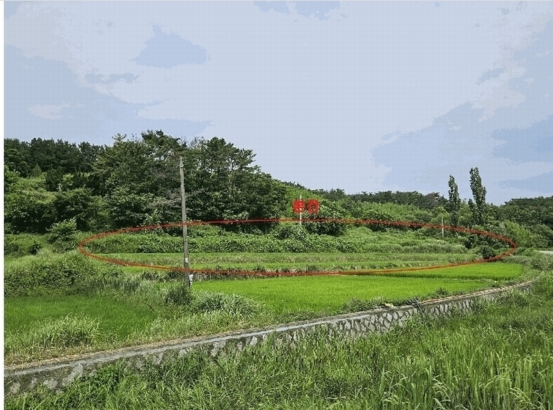 2025타경10602 경상북도 경주시 천북면 성지리 566 농지 경매 이미지