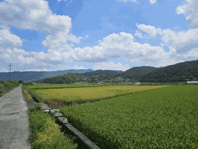 2025타경10666 경상북도 경주시 산내면 외칠리 1009 농지 경매 이미지