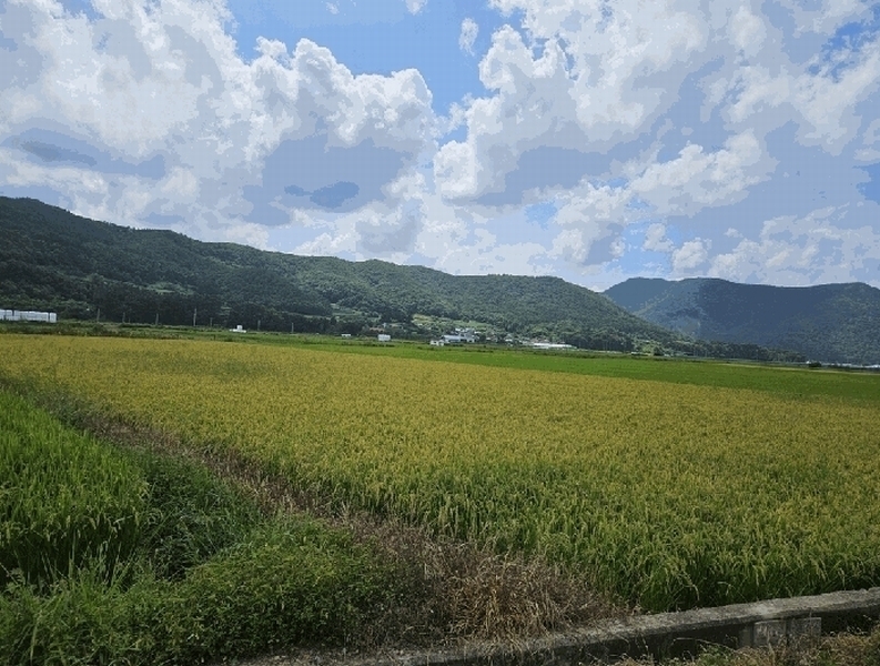 2025타경10666 경상북도 경주시 산내면 외칠리 1009 농지 경매 이미지