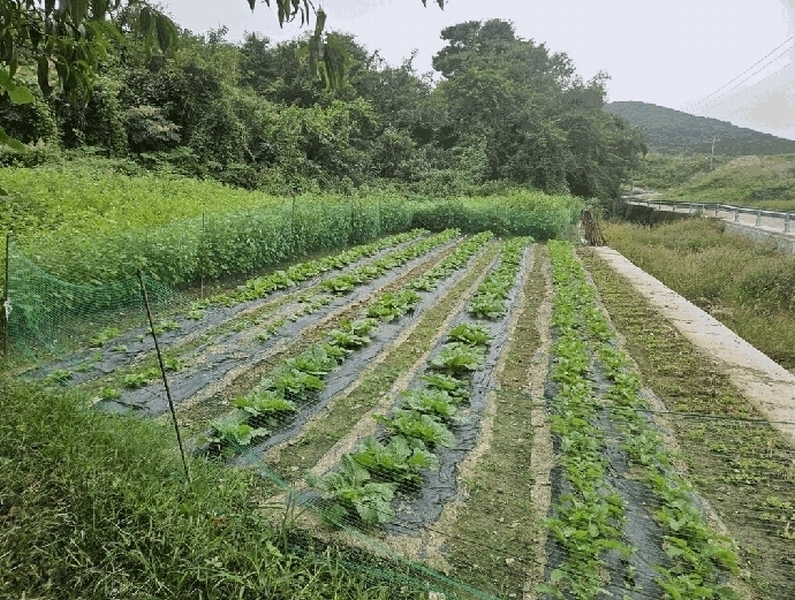 2025타경10692 경상북도 경주시 천군동 1378 농지 경매 이미지